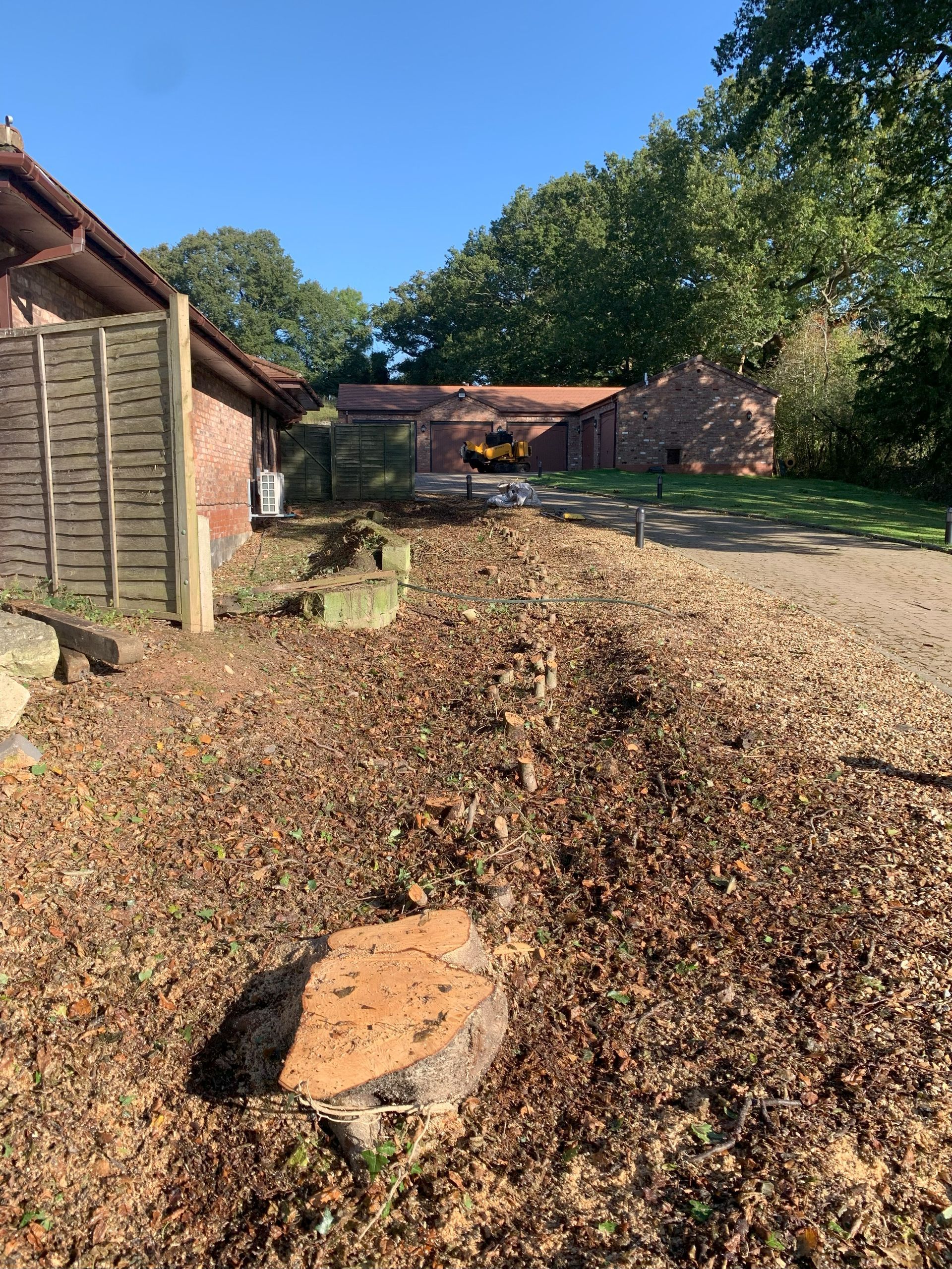 A large tree stump is in the middle of a yard in front of a house.