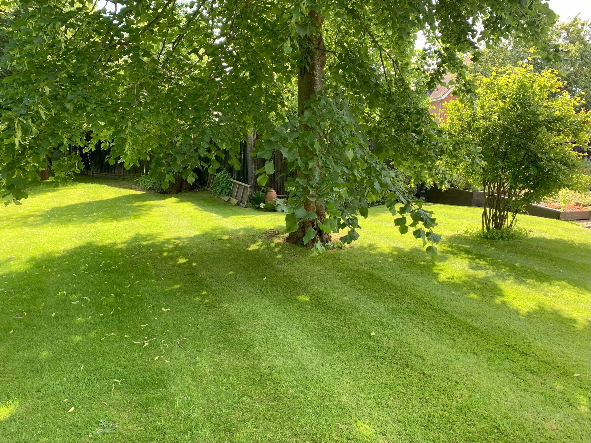 A lush green lawn with a tree in the middle of it.