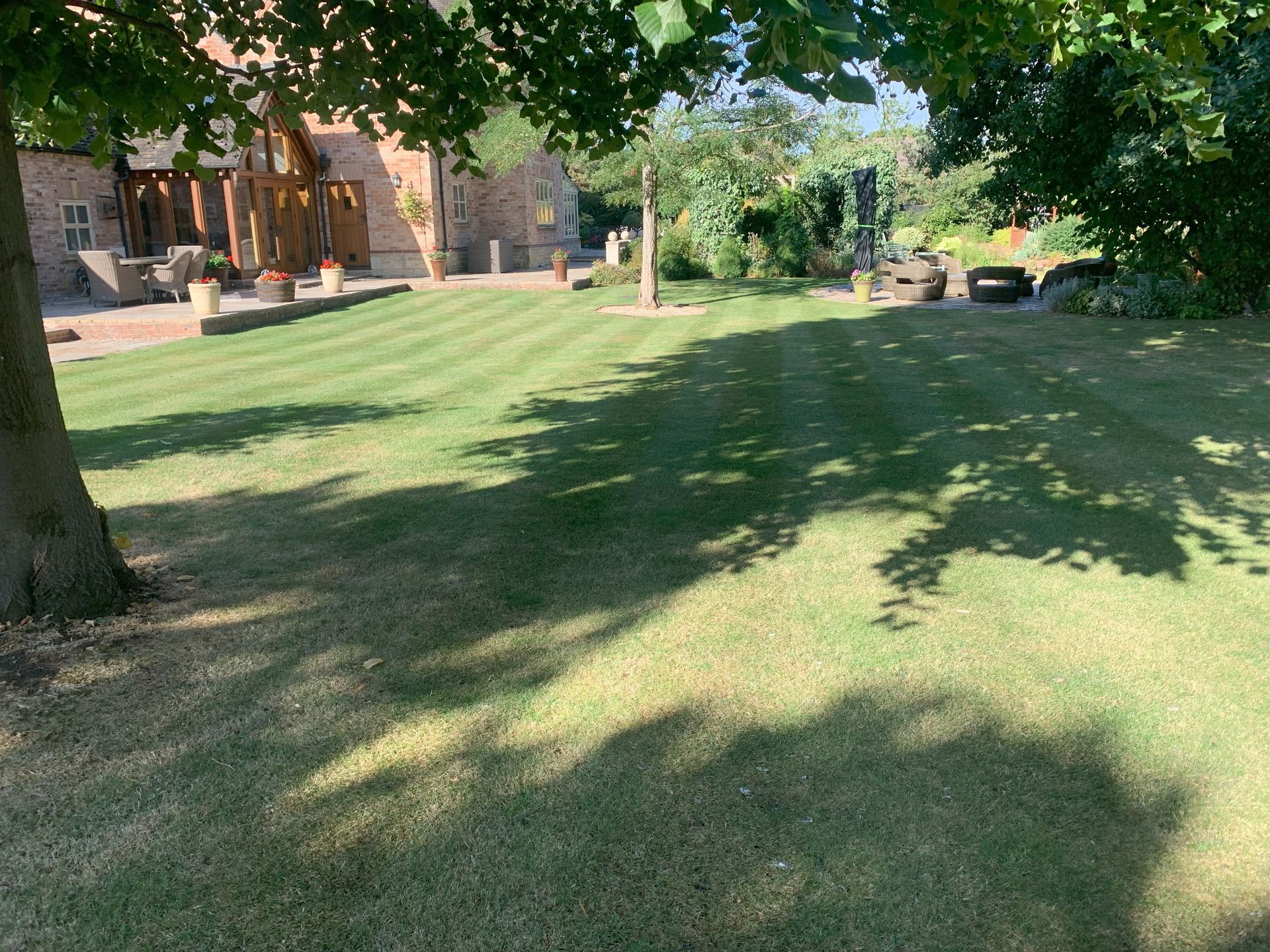 A large lawn with a house in the background and trees in the foreground.