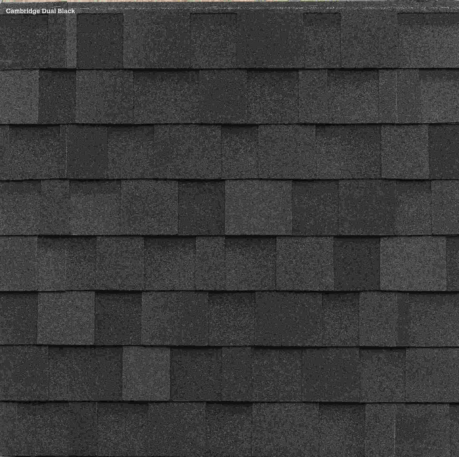 dual black shingles
