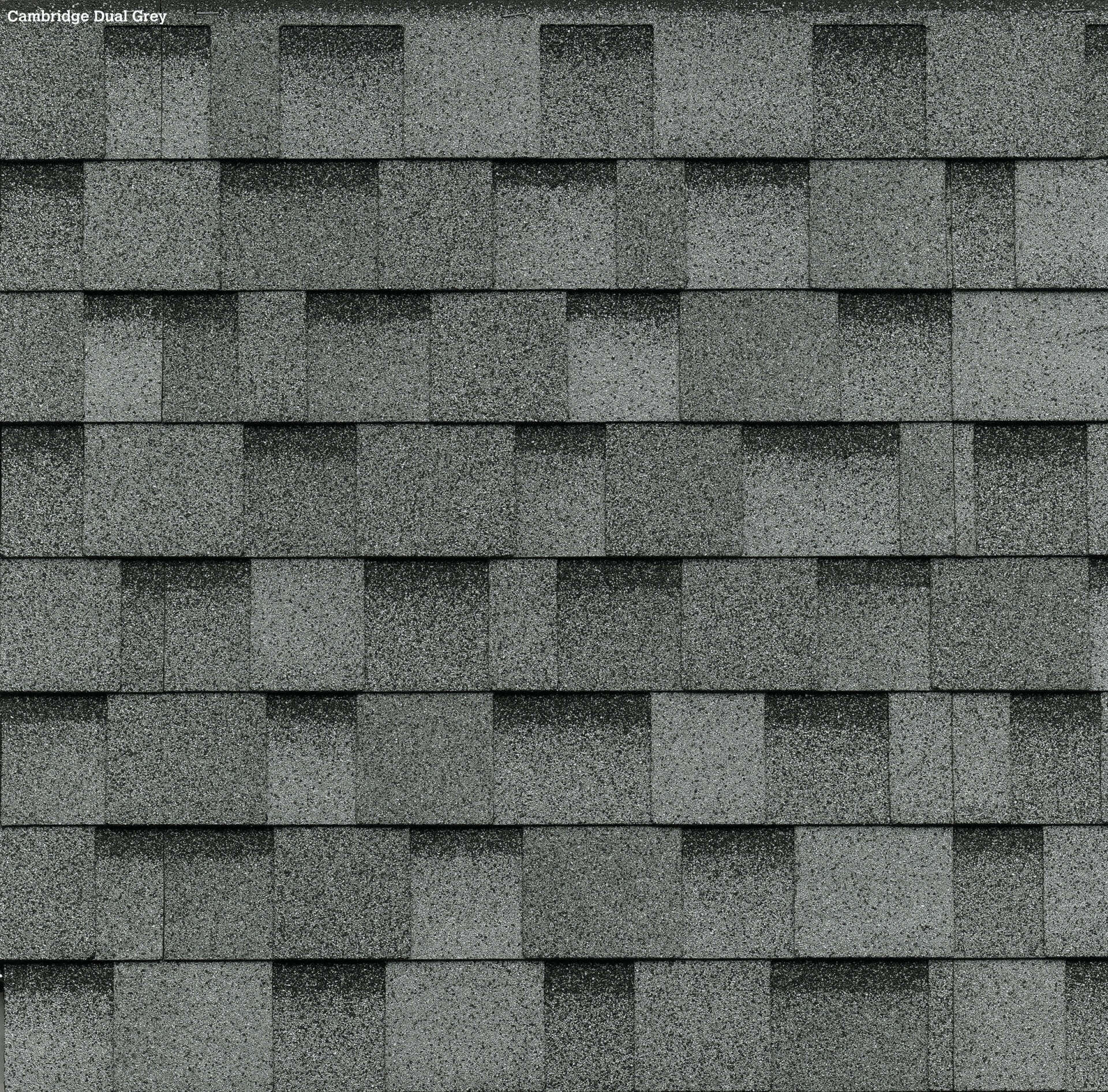 dual gray shingles