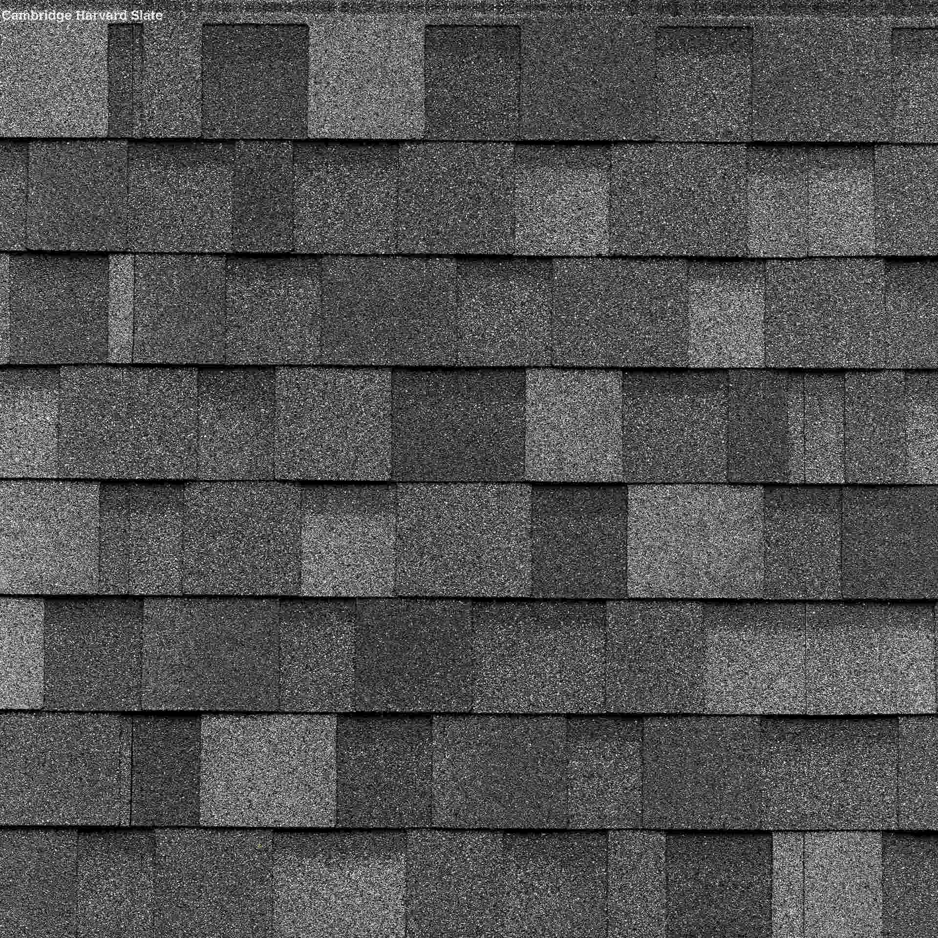 harvard slate shingles
