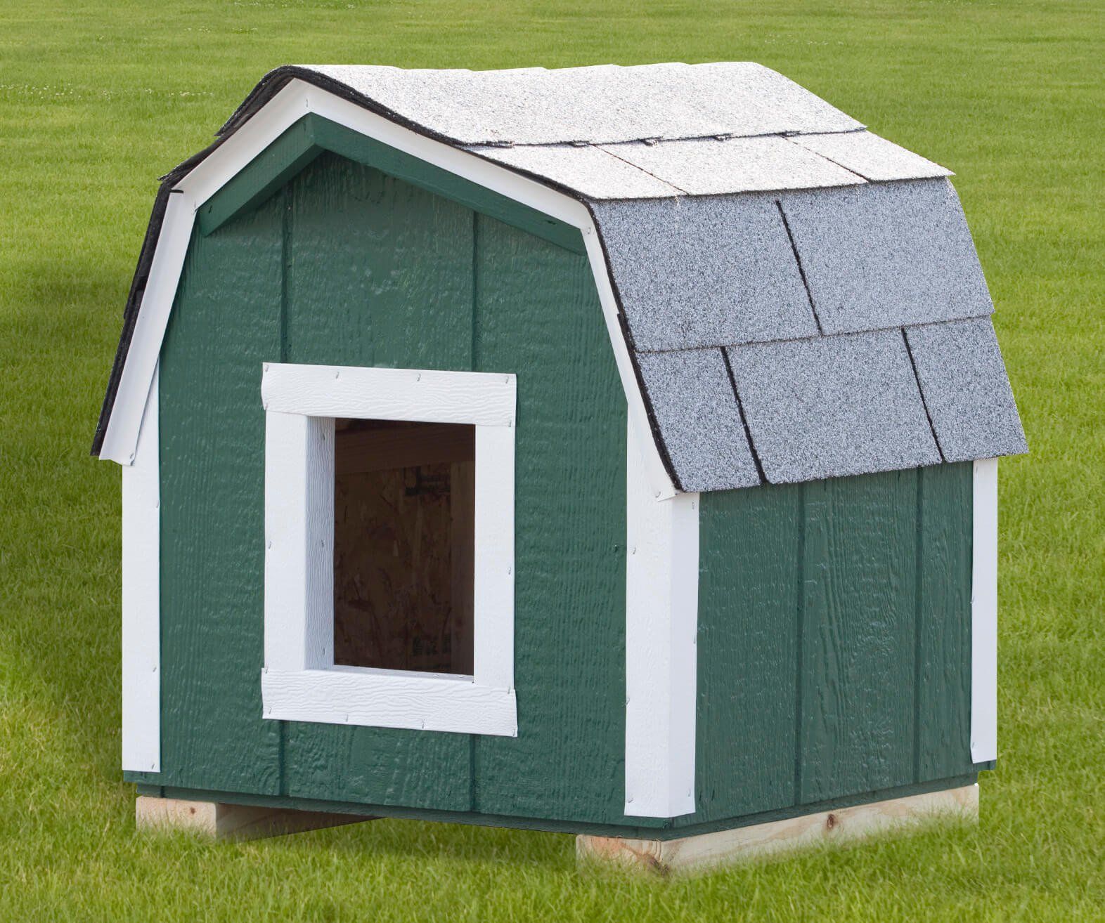green dog house