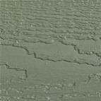 avocado green paint