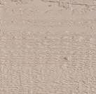 buckskin paint