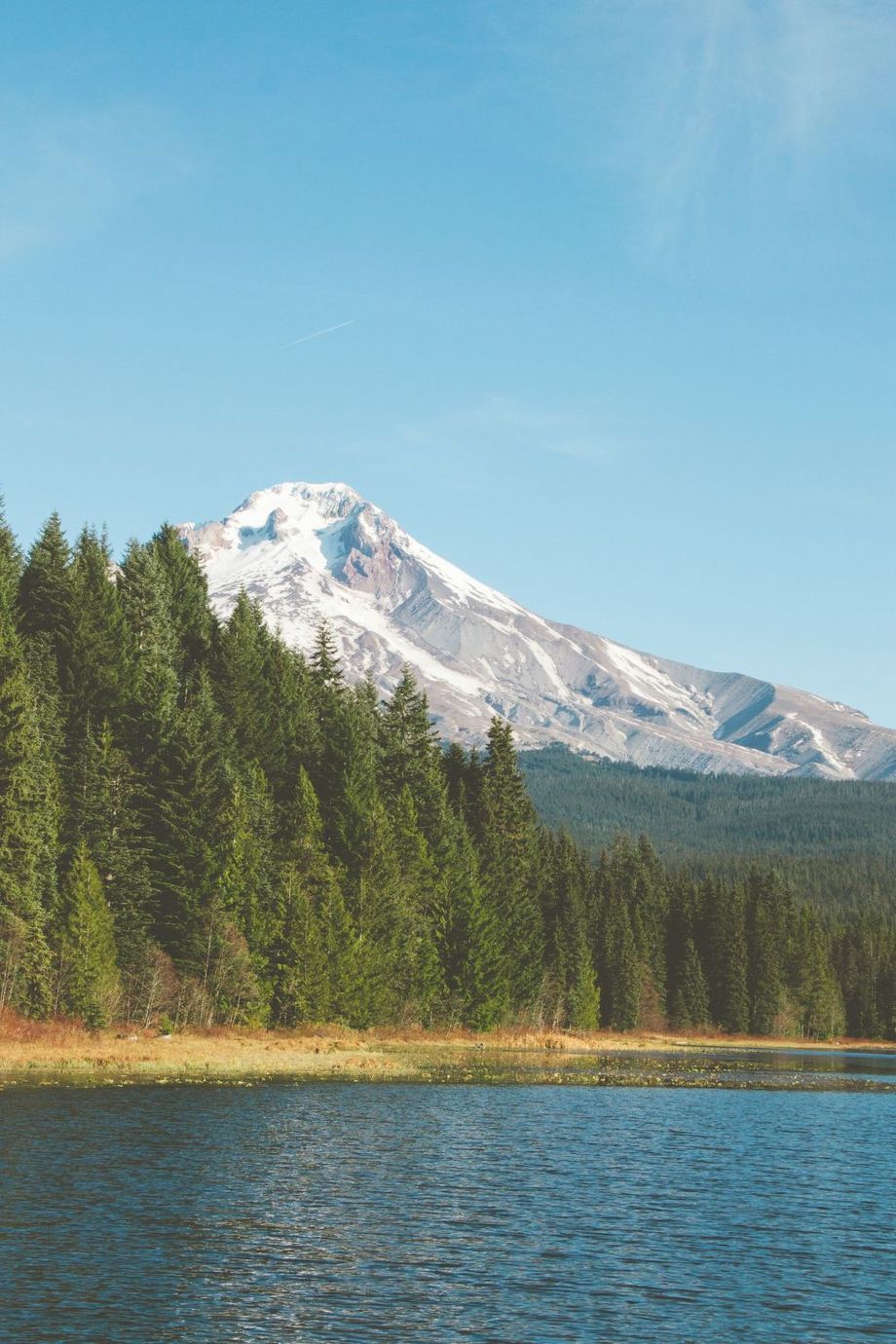 Snow-capped mountain above pine forest and blue lake under a clear sky