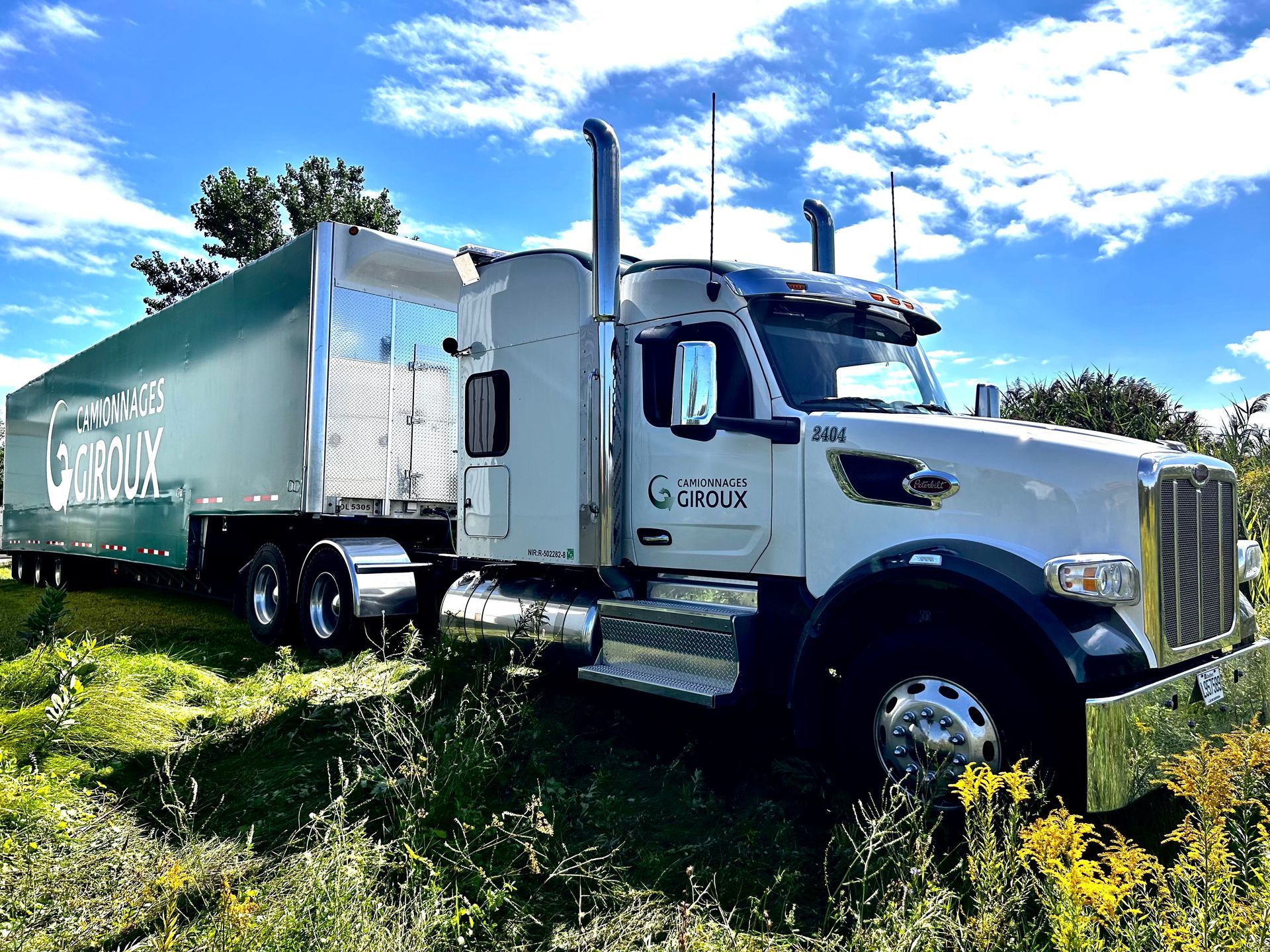 A white semi truck with a green trailer is parked in a grassy field.