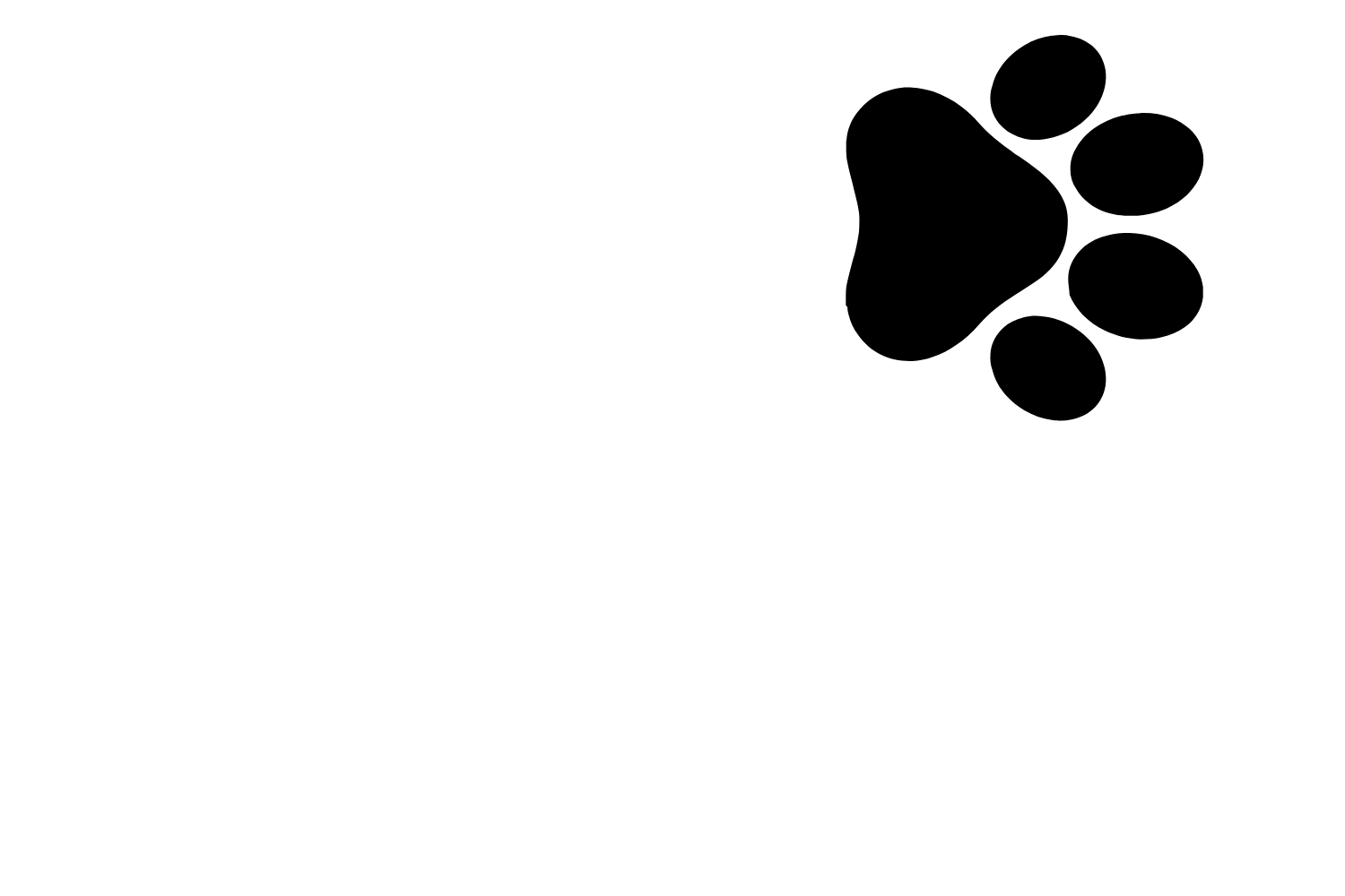 Our photo gallery doodling pups llc prescott az