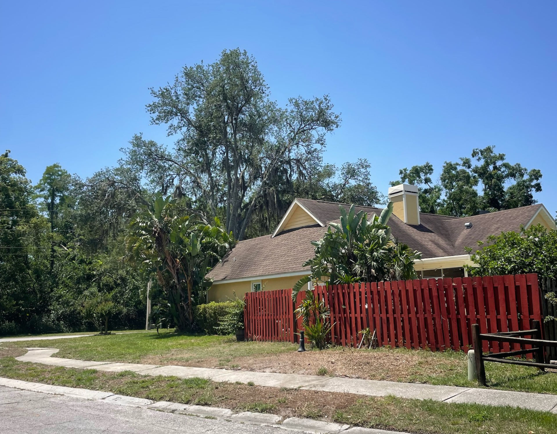 Tree service clearwater