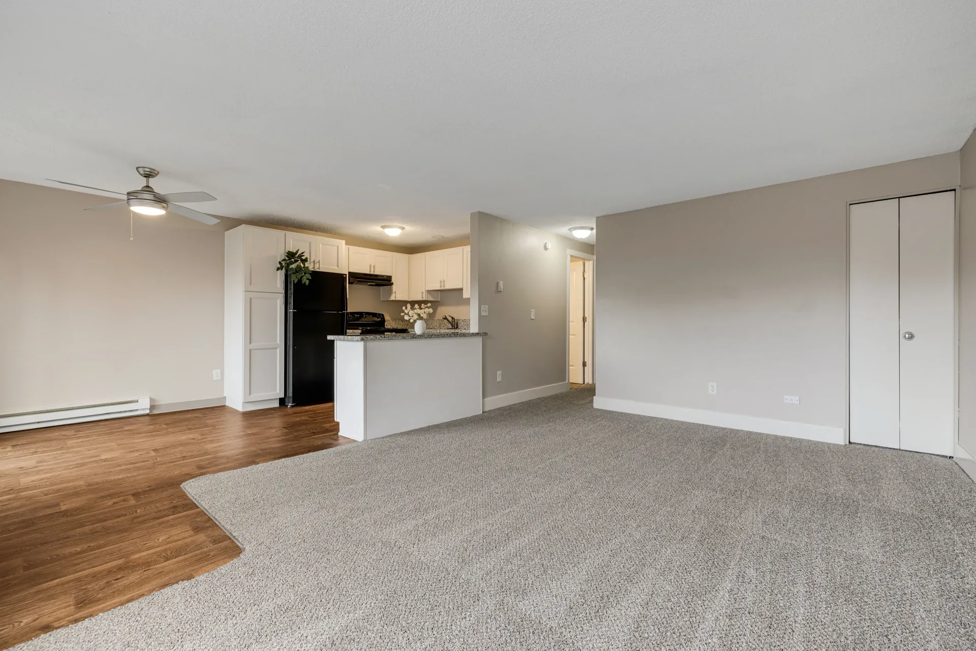 Photo of a living room with the kitchen in the background and the hallway as well