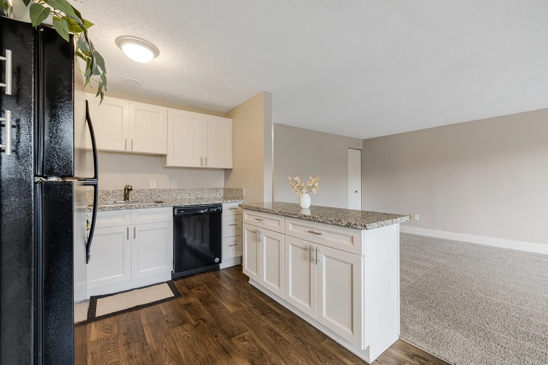 Photo of the kitchen and bar area, with the living room in the background
