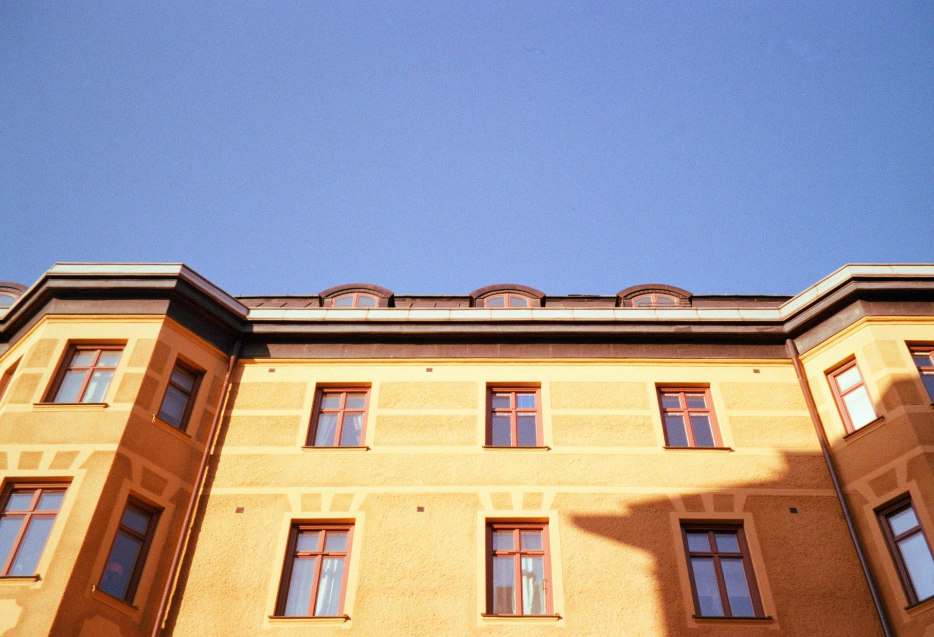 flat roof