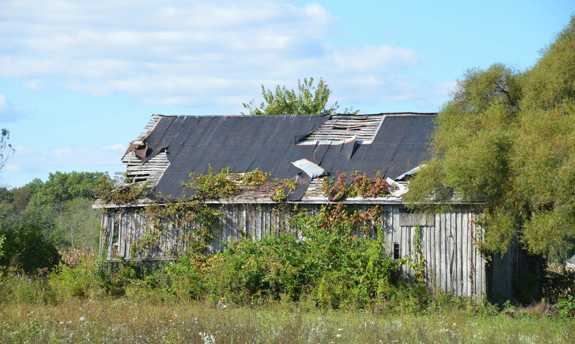 broken roof