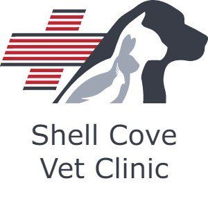 Shell Cove Veterinary Clinic
