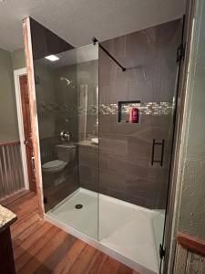 A bathroom with a walk in shower and a toilet.