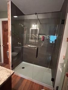 A bathroom with a walk in shower and a toilet.