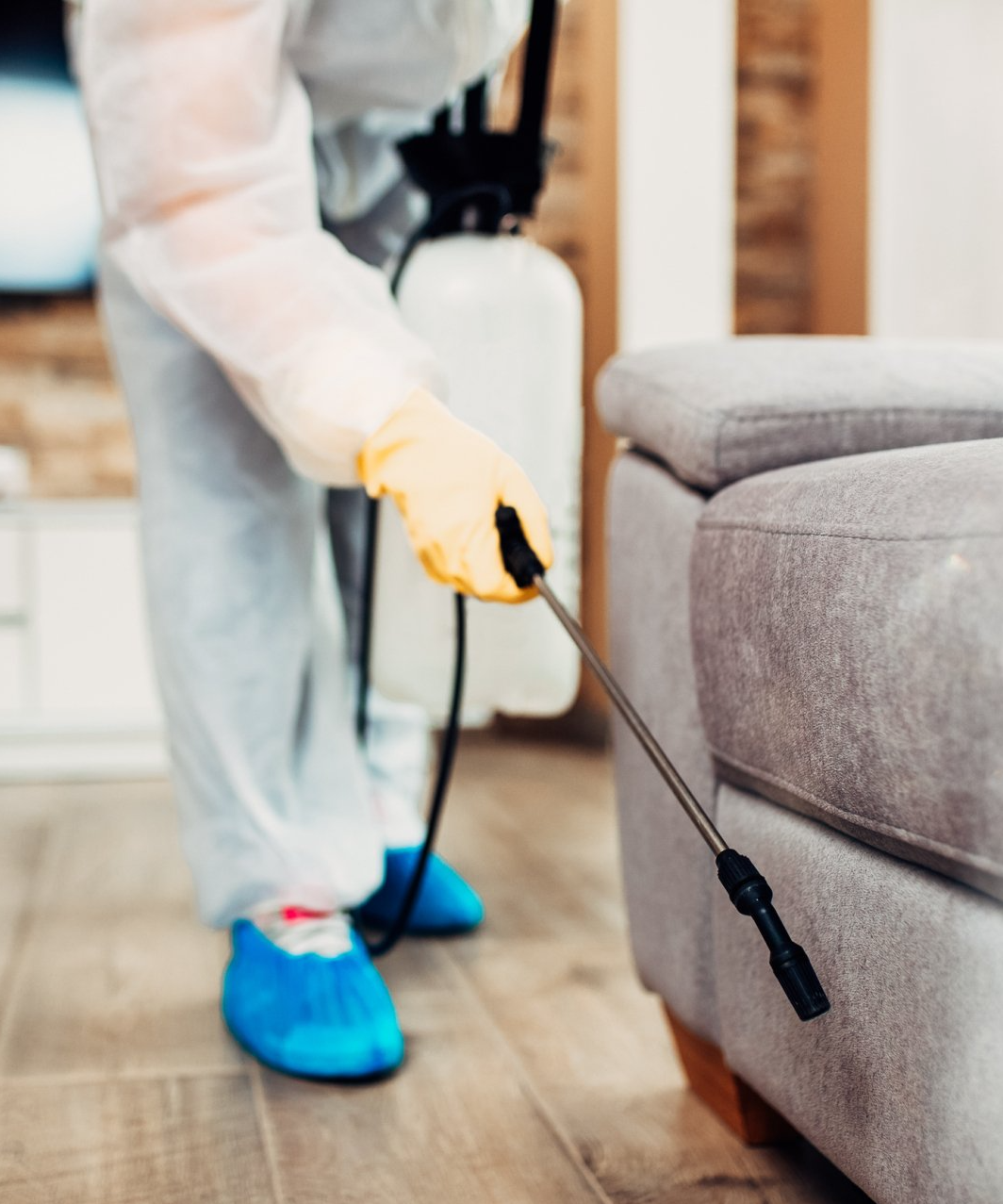 Do You Have a Bed Bug Problem? Call Atkins in Columbia MO to Spray for Pests in Your Business.