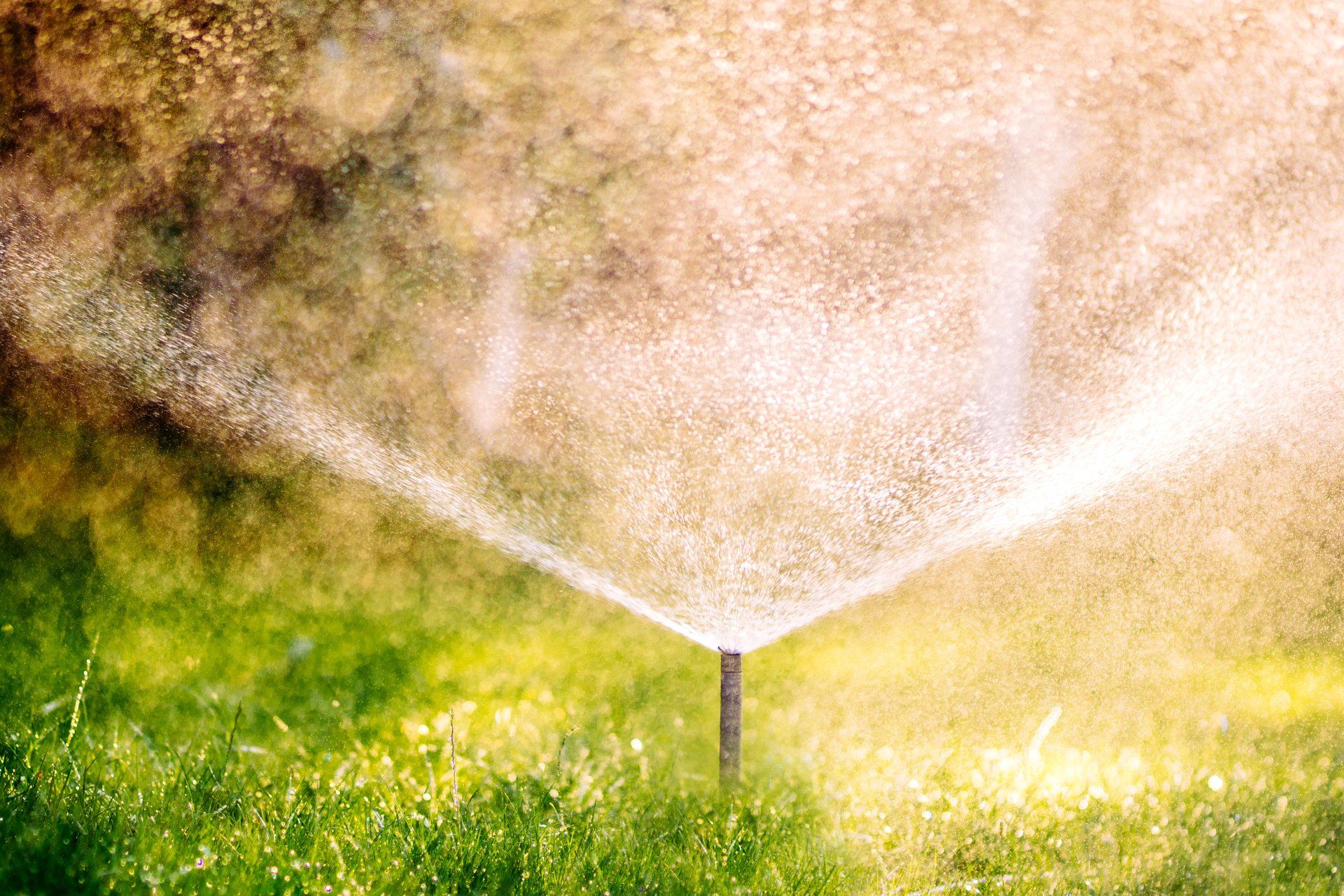 Keep Your Mid-Missouri Lawn Hydrated With Atkins Irrigation Installation & Repair