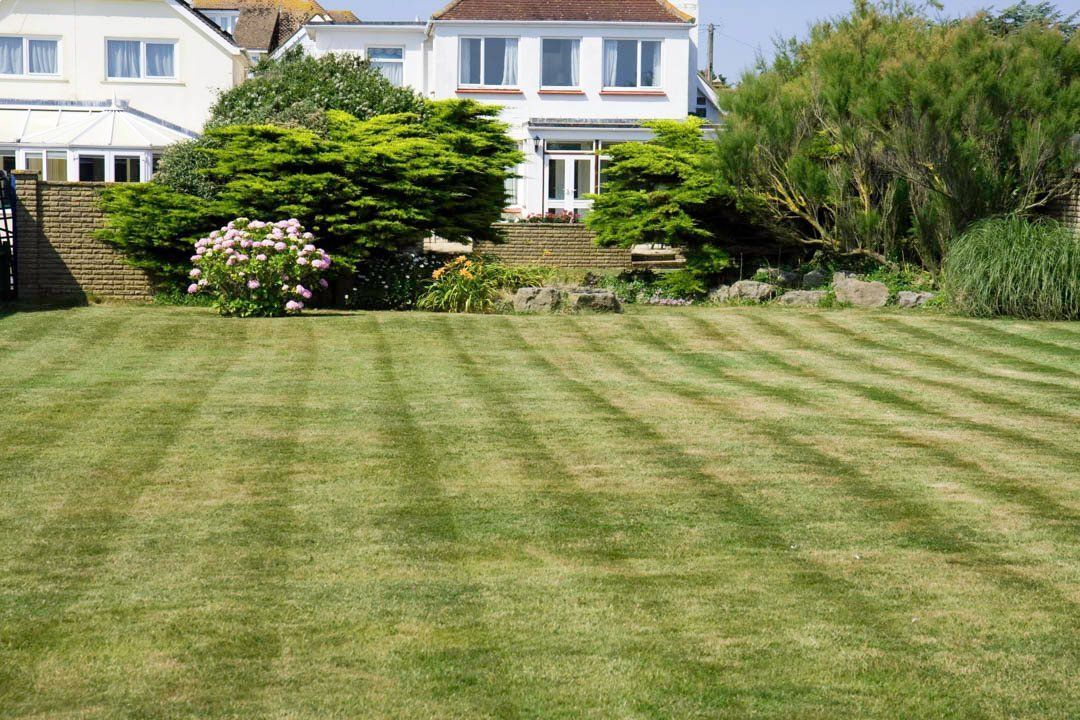 Lawn with striped pattern in front of a white house, lush green grass, blue sky.