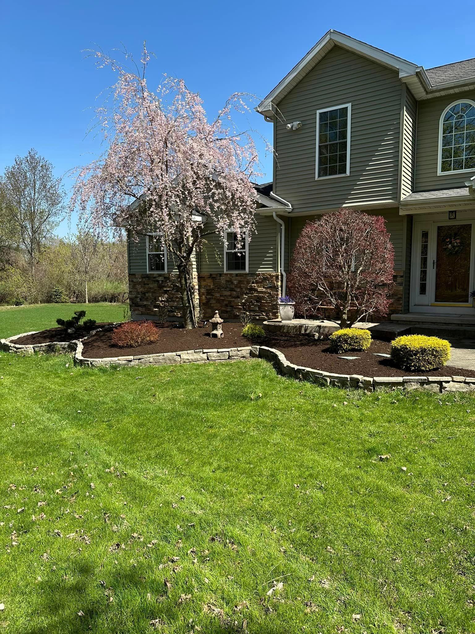 House with landscaping, including a weeping cherry tree in bloom, on a sunny day.