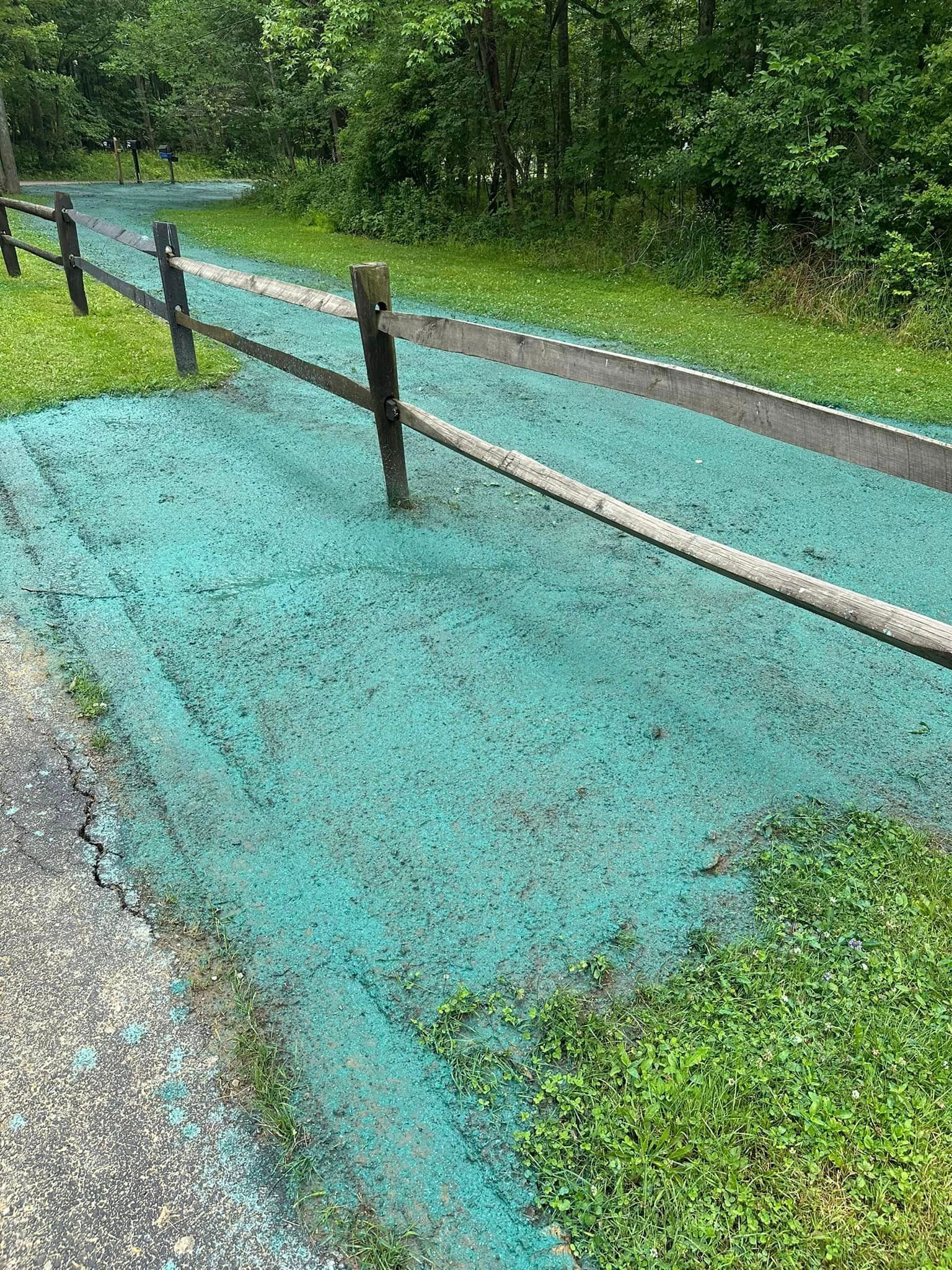 A walking path treated with green seed is next to a wooden fence and grass, with trees in the background.
