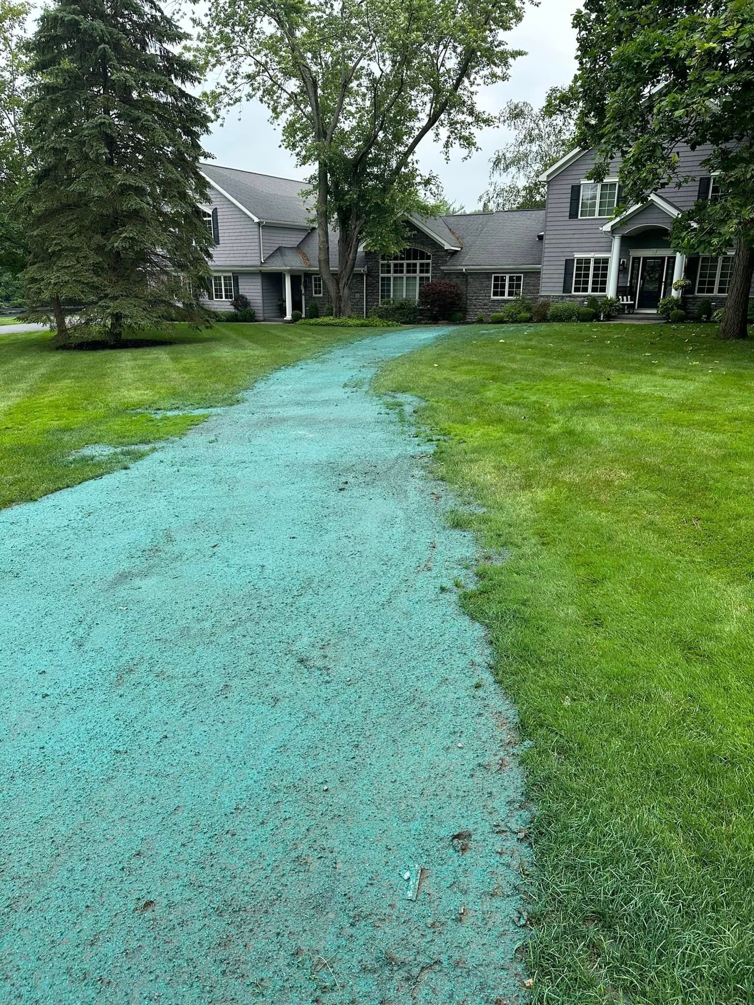Blue treated lawn path leading to a gray house, surrounded by green grass and trees.