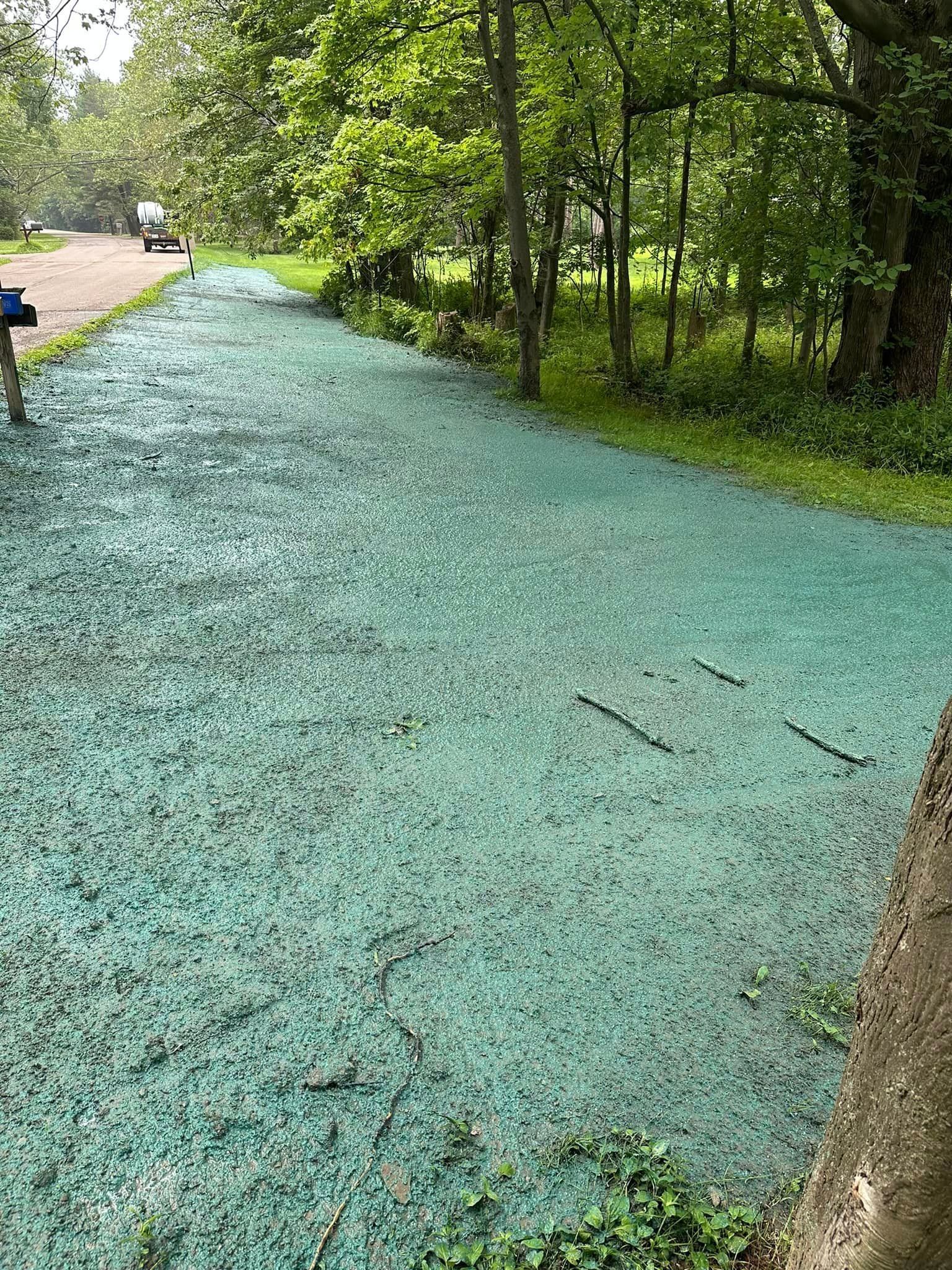 Green dyed grass in front of trees and a street with a car.