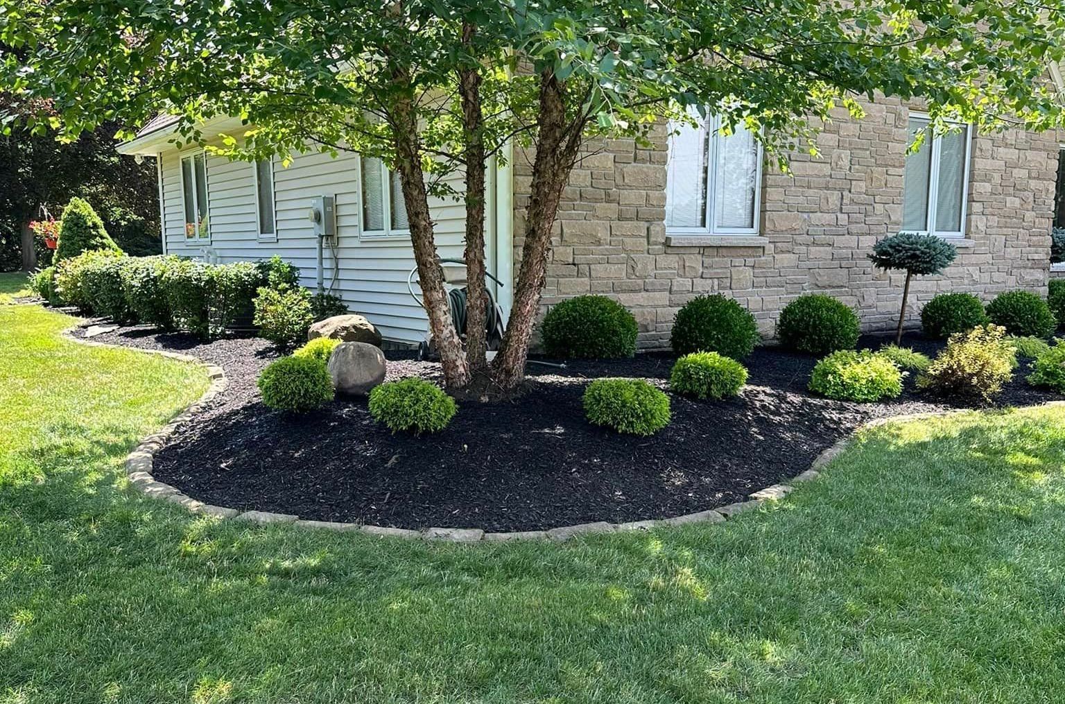 Landscaped yard with a tree and shrubs around a light stone house, all surrounded by green grass.