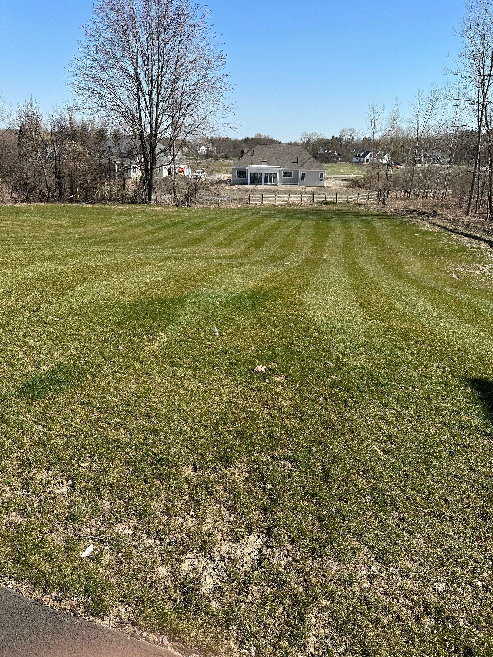 A grassy lawn with freshly cut stripes. In the background, trees and a house under a blue sky.