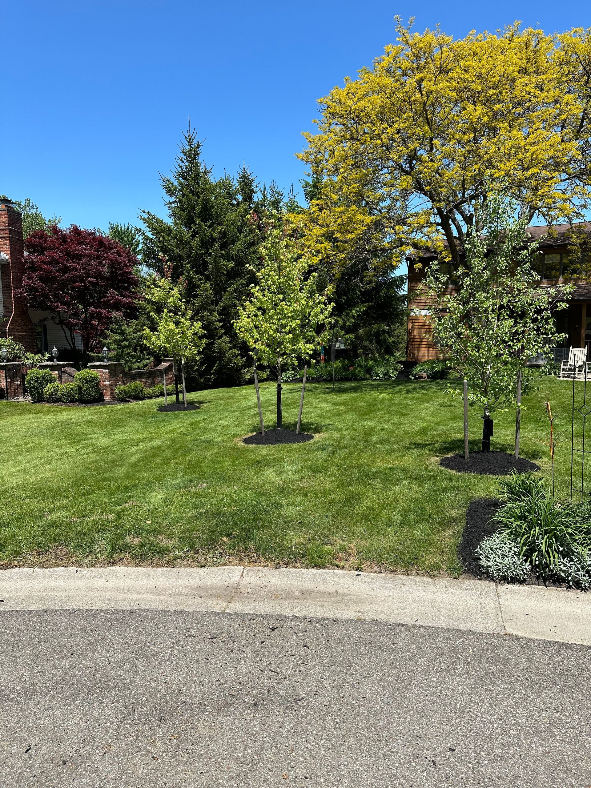 Green lawn with several trees in front of a red brick house, under a bright blue sky.