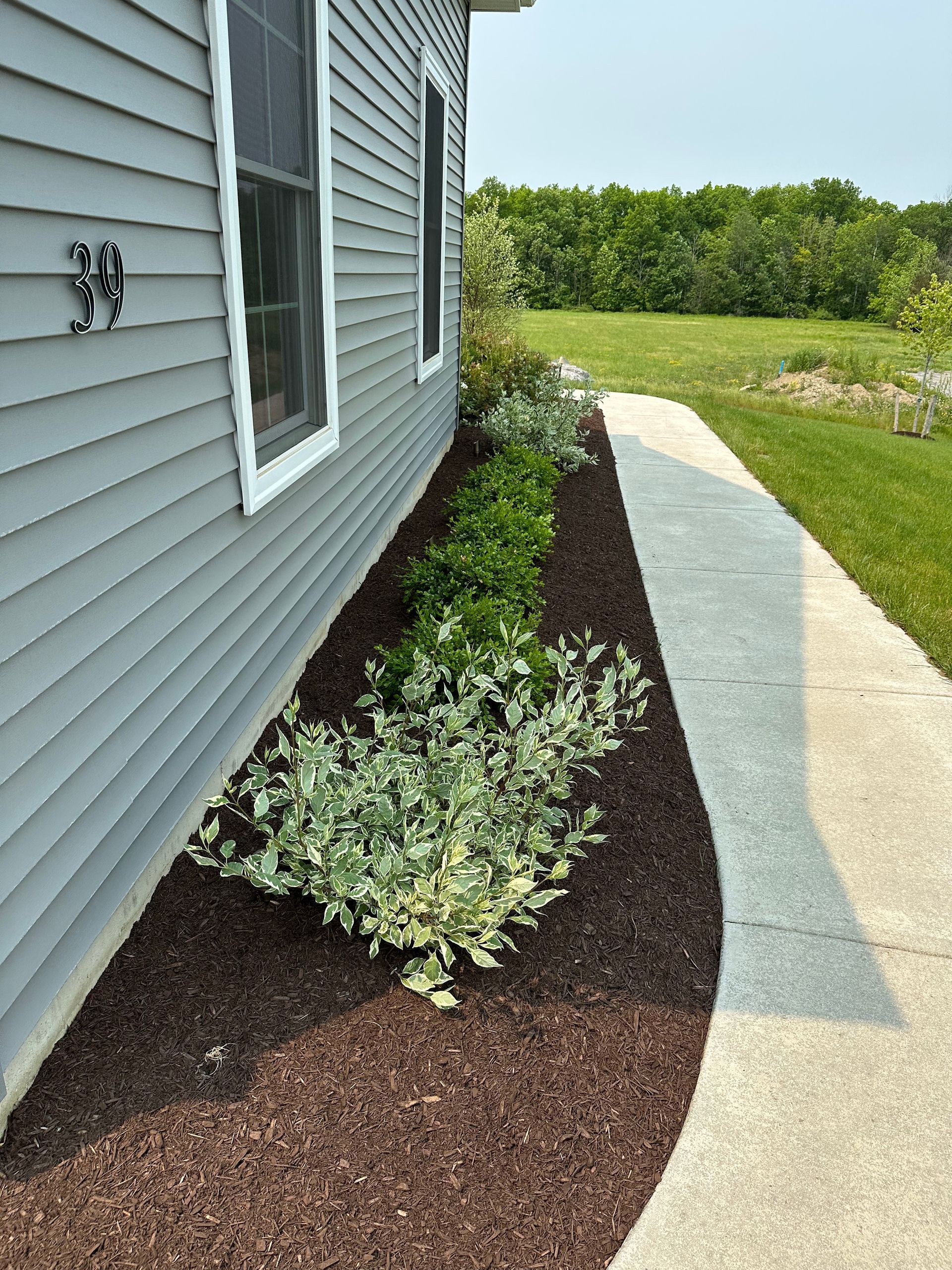 A house exterior with a row of plants along a concrete path and gray siding.