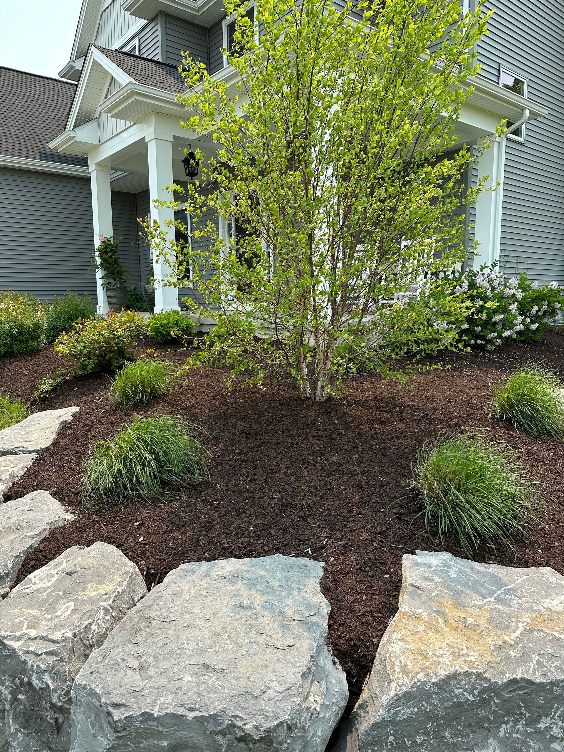Landscaped front yard with large rocks, mulch, and greenery in front of a house.