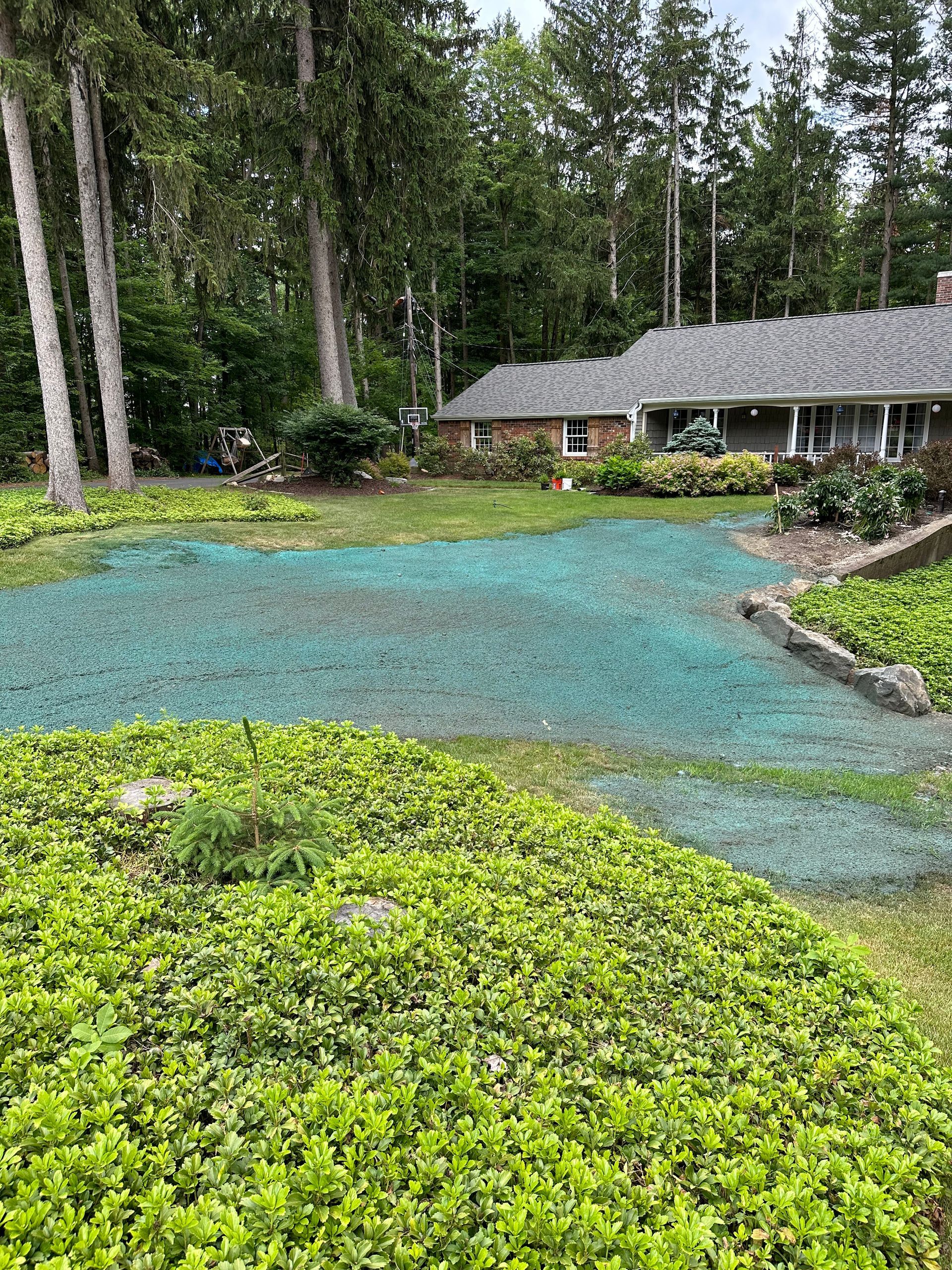 A lawn with blue-green hydroseed; a house and trees are in the background.