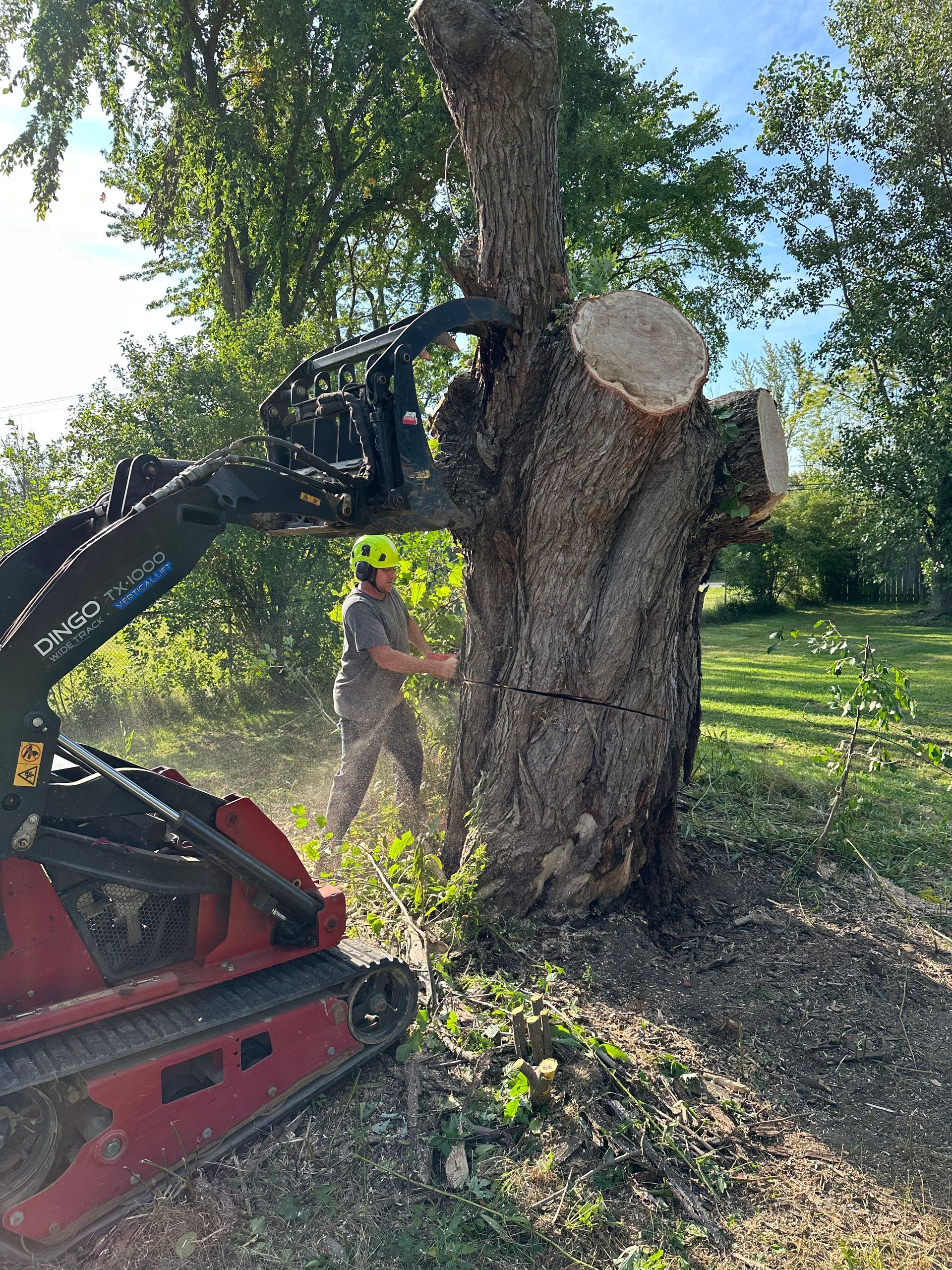 A worker uses a chainsaw to cut a tree trunk with a skid steer on a sunny day.
