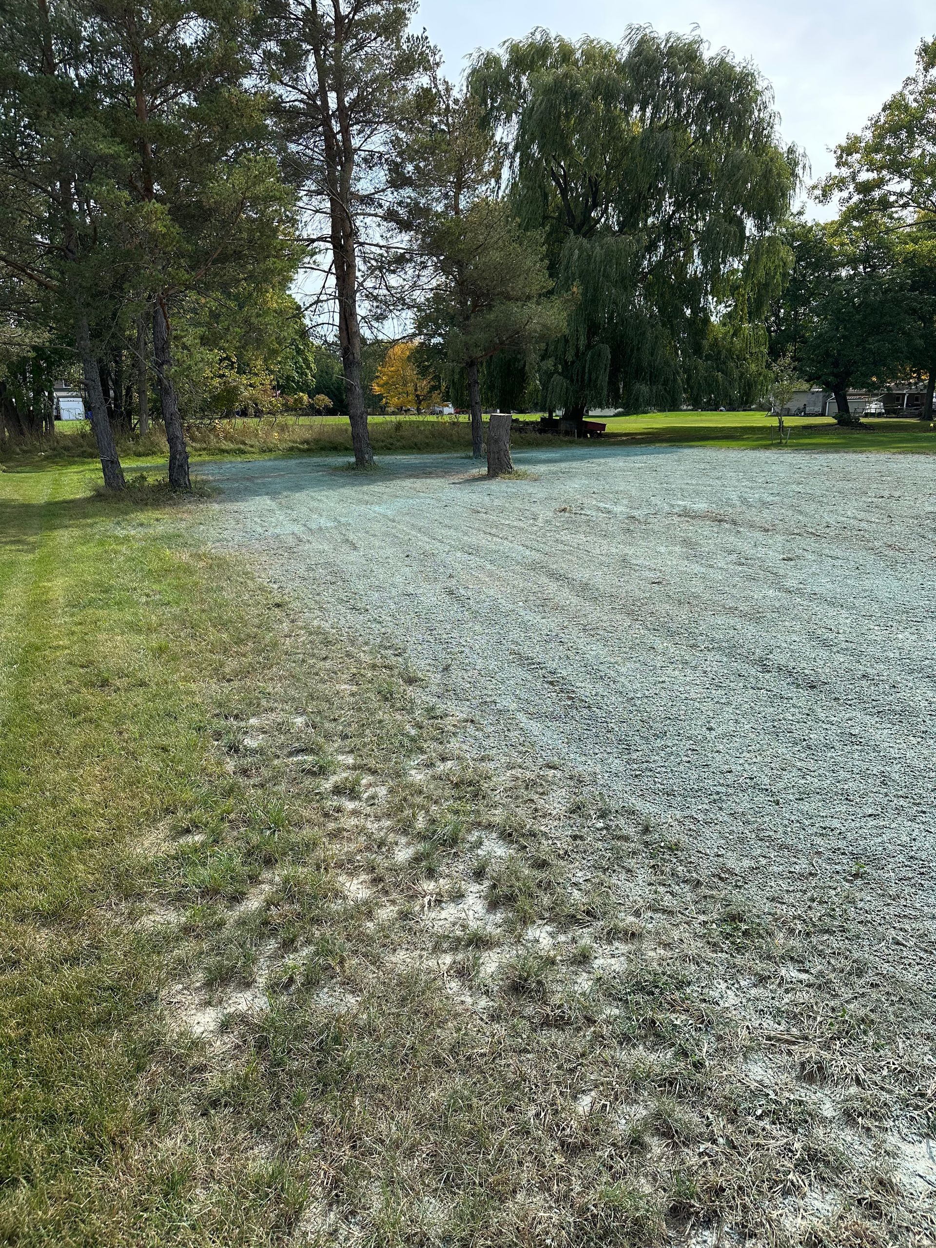 Lawn partially covered in blue-green hydroseed; trees and blue sky background.