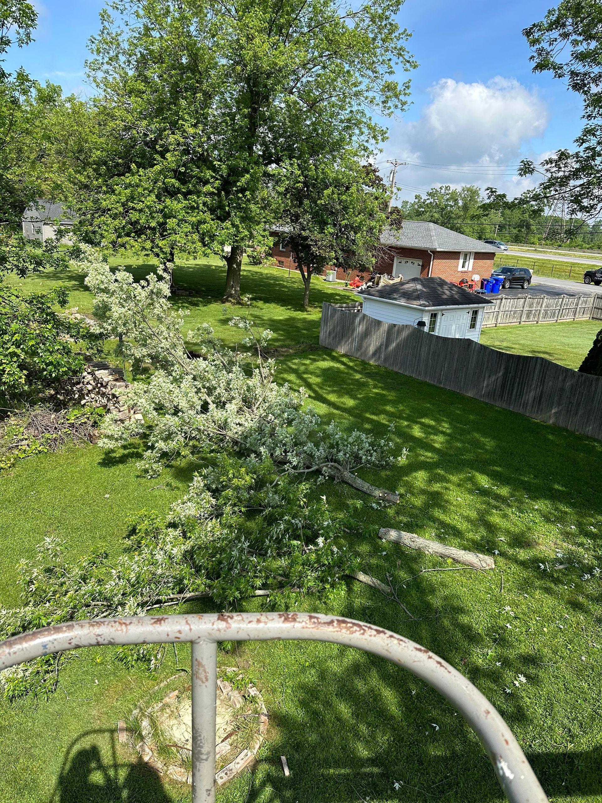 View of a yard with cut tree branches on green grass, a gray fence, and houses in the background.