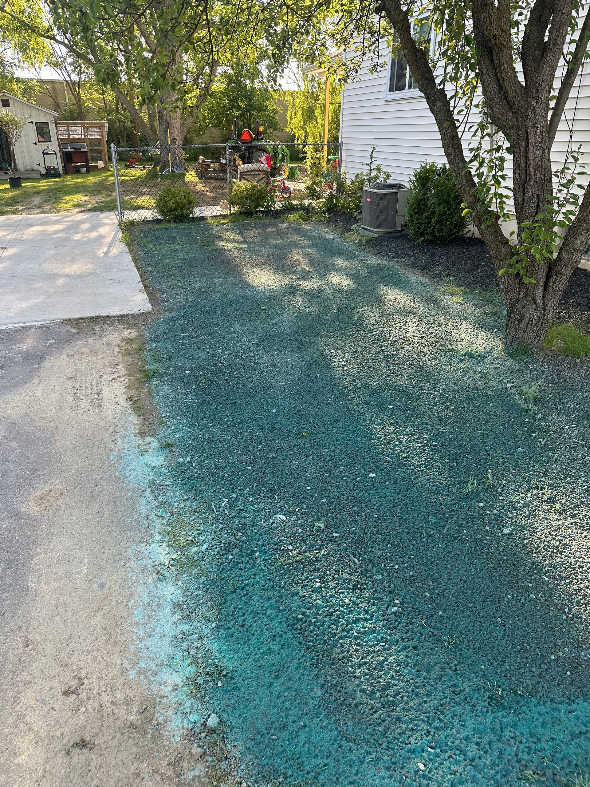 Lawn covered with green seed and mulch beside a driveway and building. A tree casts a shadow.