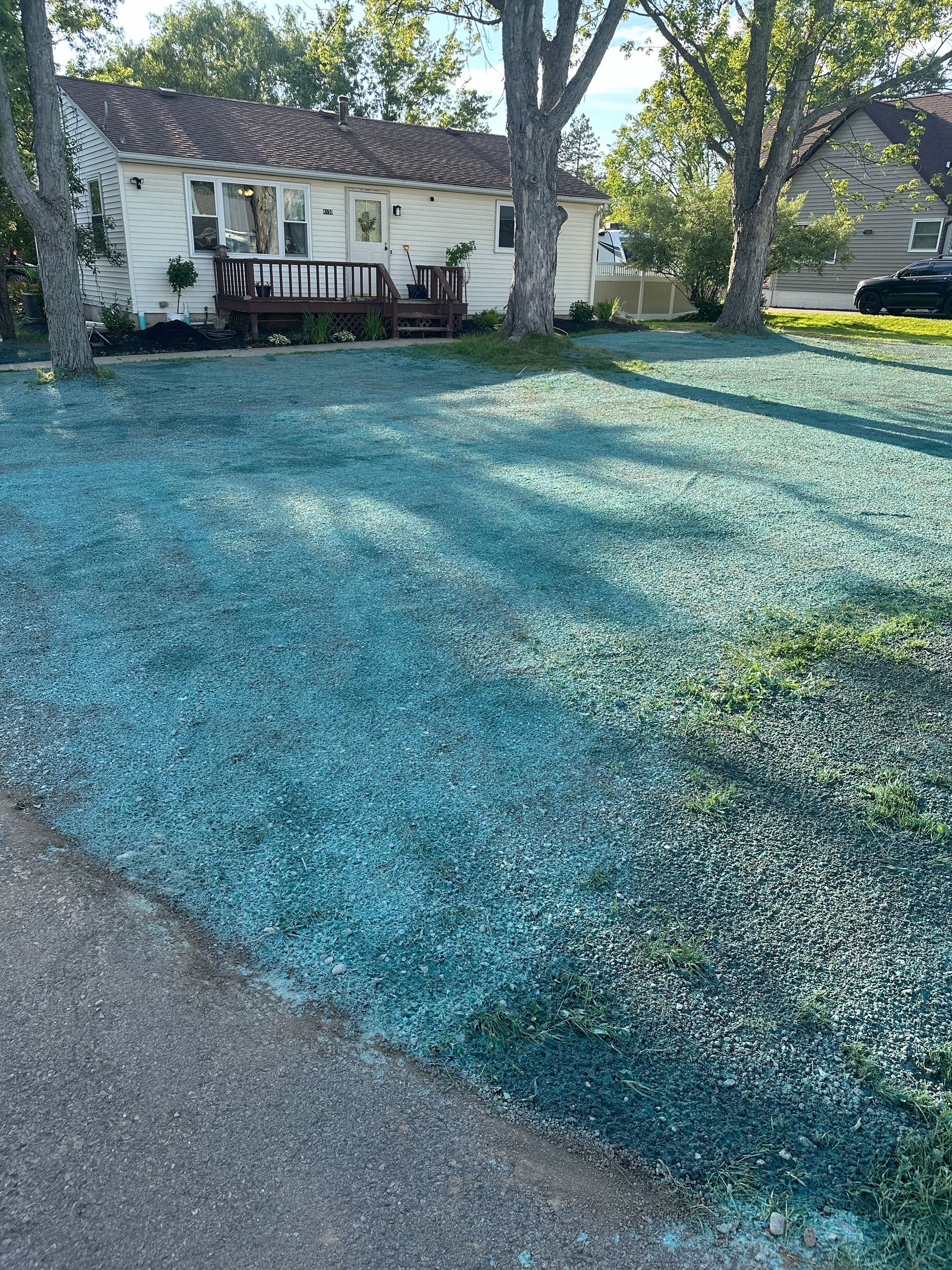 Lawn with blue coating in front of a white house with a brown roof and deck, two trees and a sidewalk.