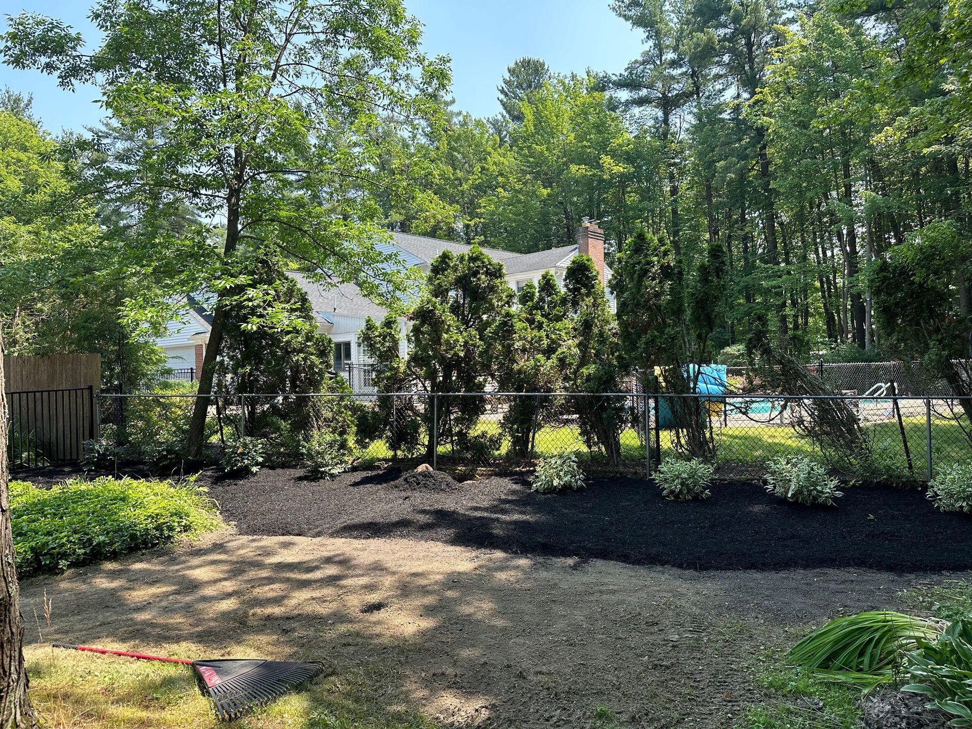 Backyard with new mulch, evergreens, and house in the background on a sunny day.