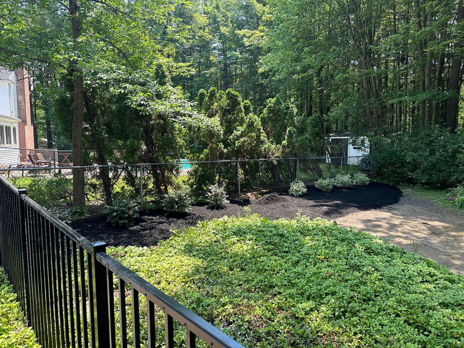 Black metal fence in front of a yard with plants, mulch, and trees.