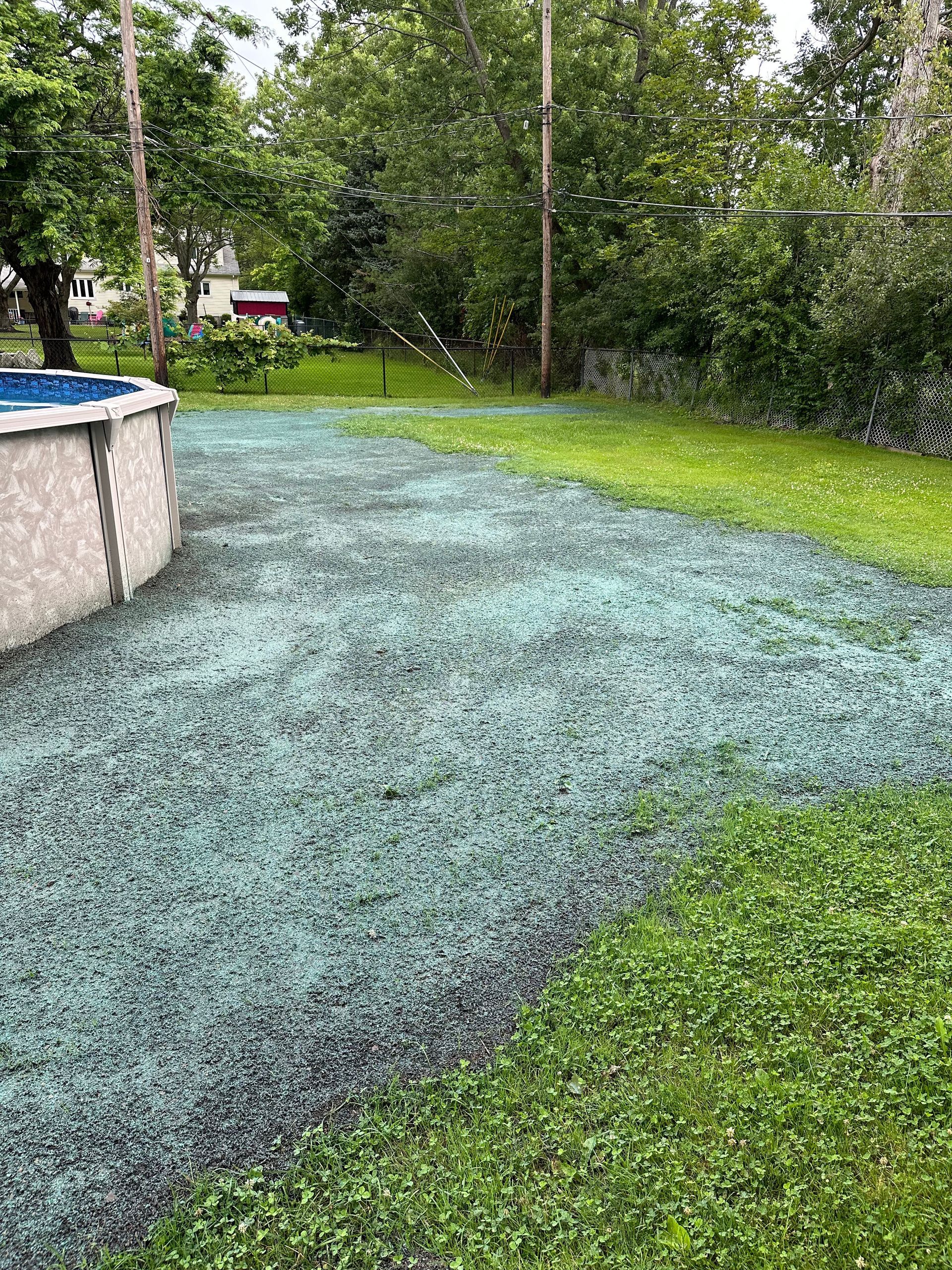 Lawn treated with a green product next to a green clover lawn and an above-ground pool.