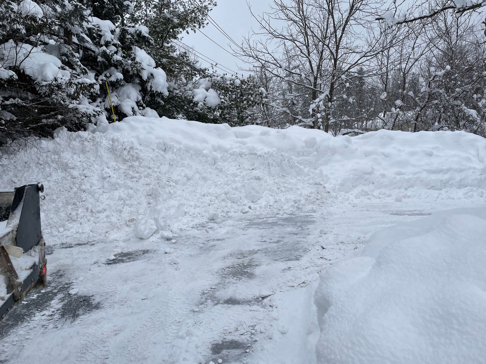 Snow-covered driveway with a large snow bank. Trees in the background, overcast sky.