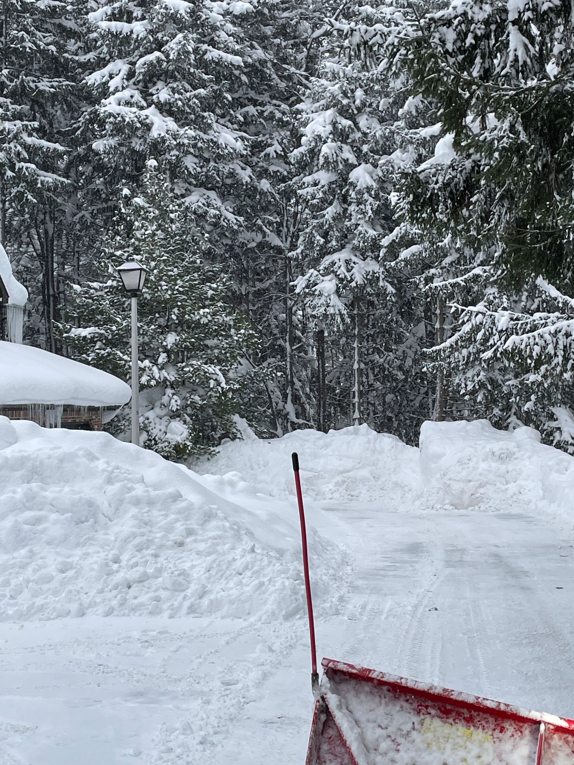 Snowy scene: snowplow clearing a driveway, large piles of snow, evergreen trees in the background.