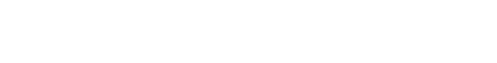 logo P Auto Service