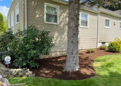 House with A Large Tree — Erie, PA — Saldana Services LLC