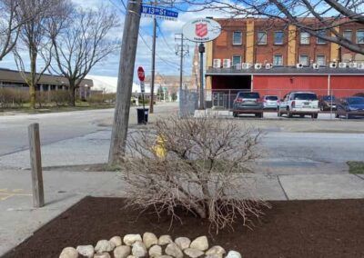 Landscaping in Front Yard — Erie, PA — Saldana Services LLC
