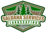 Saldana Services LLC Saldana Services LLC