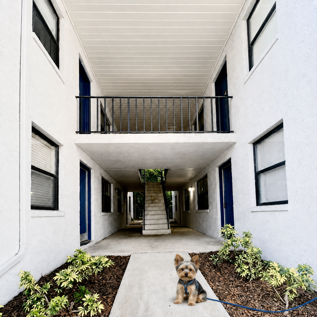 Small dog sitting on a walkway in a white apartment courtyard with a central staircase and balconies
