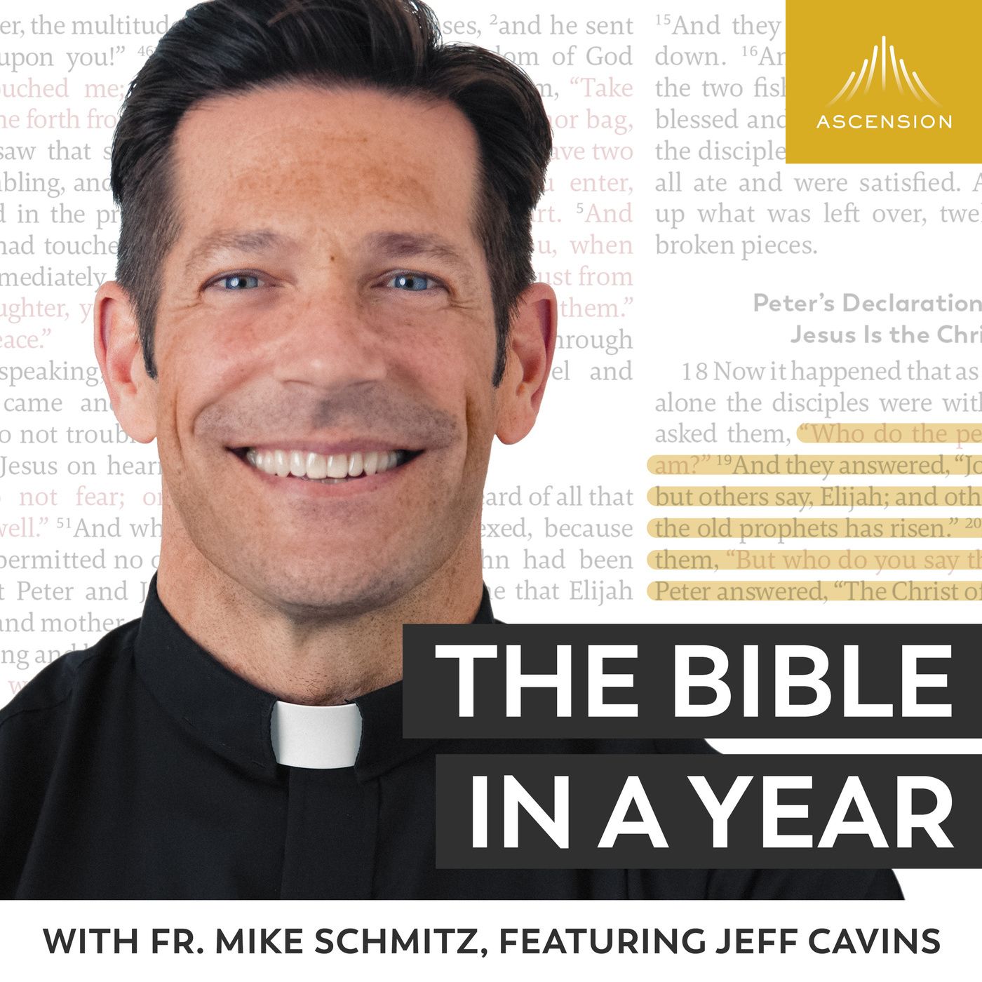 Bible in a Year with Fr. Mike Schmitz