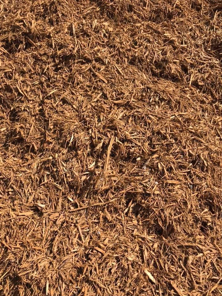 Close-up of brown wood chips or mulch covering the ground